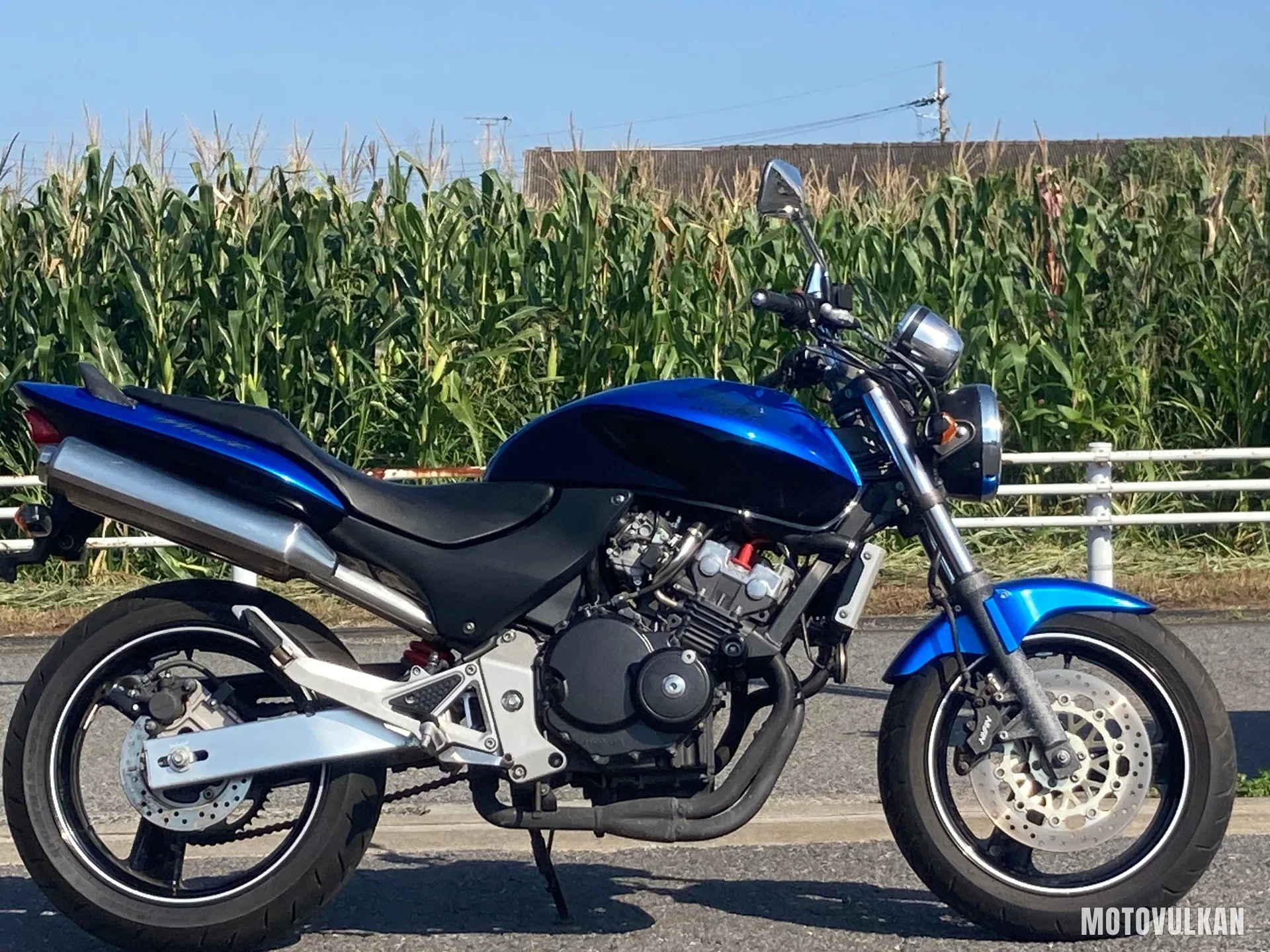 Honda Hornet250