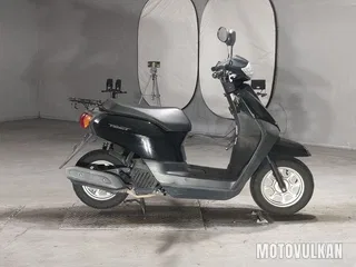 Honda Tact Basic