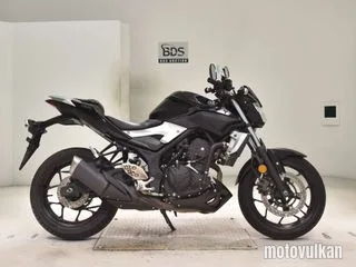 Yamaha MT-25