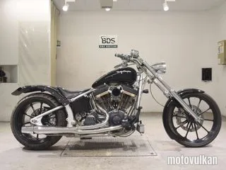 HD. FXSTD1450