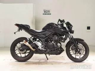 Yamaha MT-25