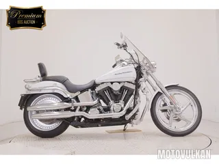 HD. FXSTD1450