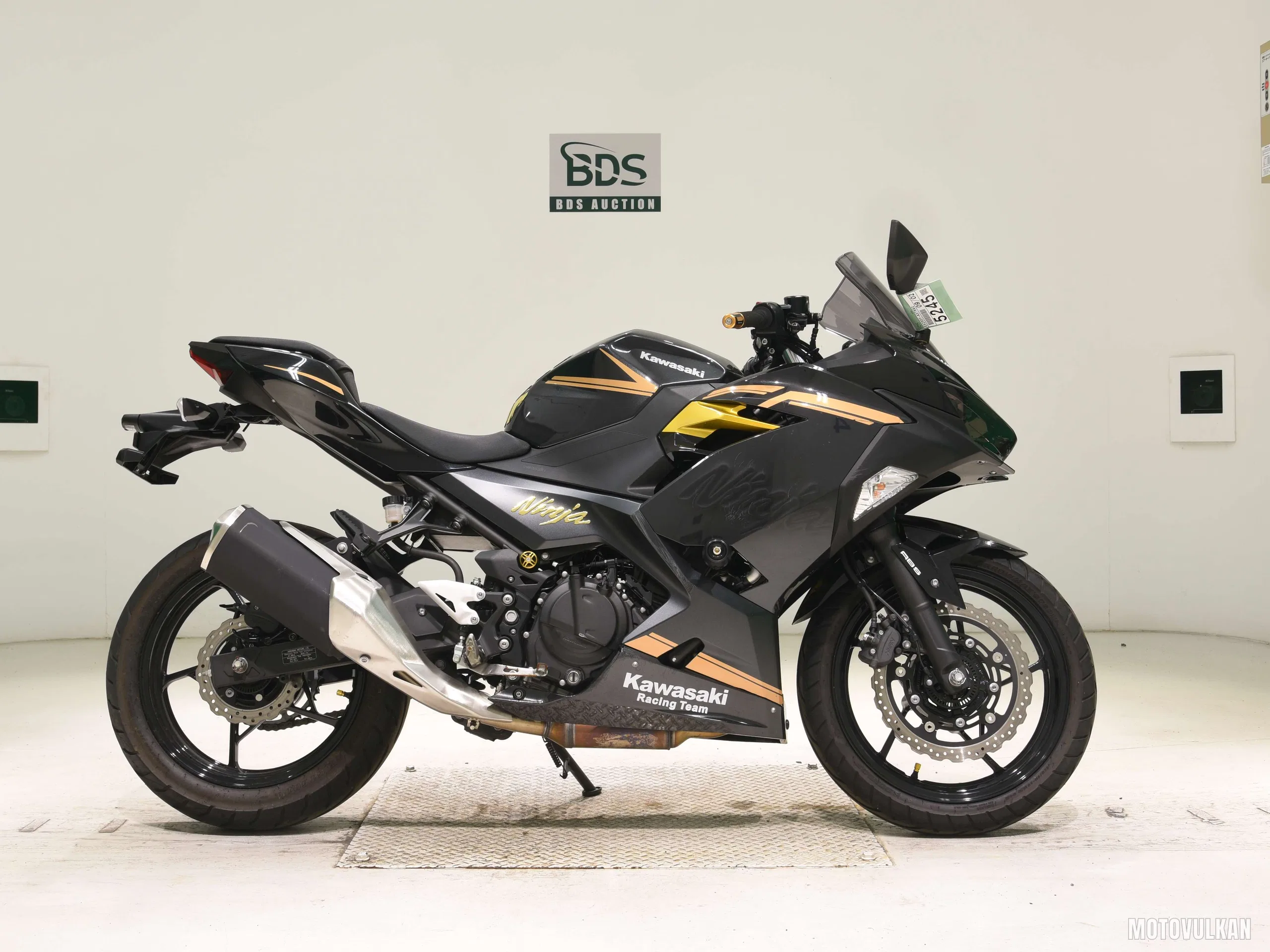 Kawasaki NINJA250-2