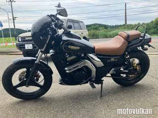 Kawasaki Eliminator250Se