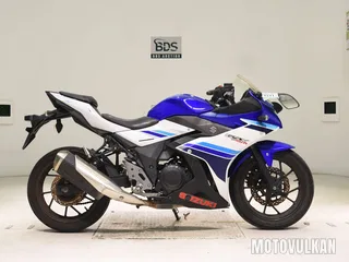 Suzuki GSX250R