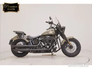  HD. FLSS1800