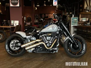 Harley Davidson Harley Davidson Flfb