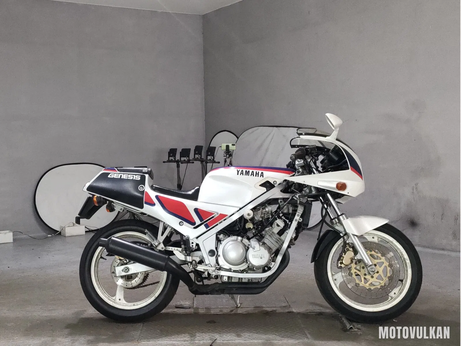 Yamaha FZR250