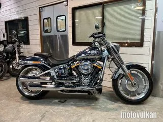 Harley Davidson Harley Davidson Flstfi