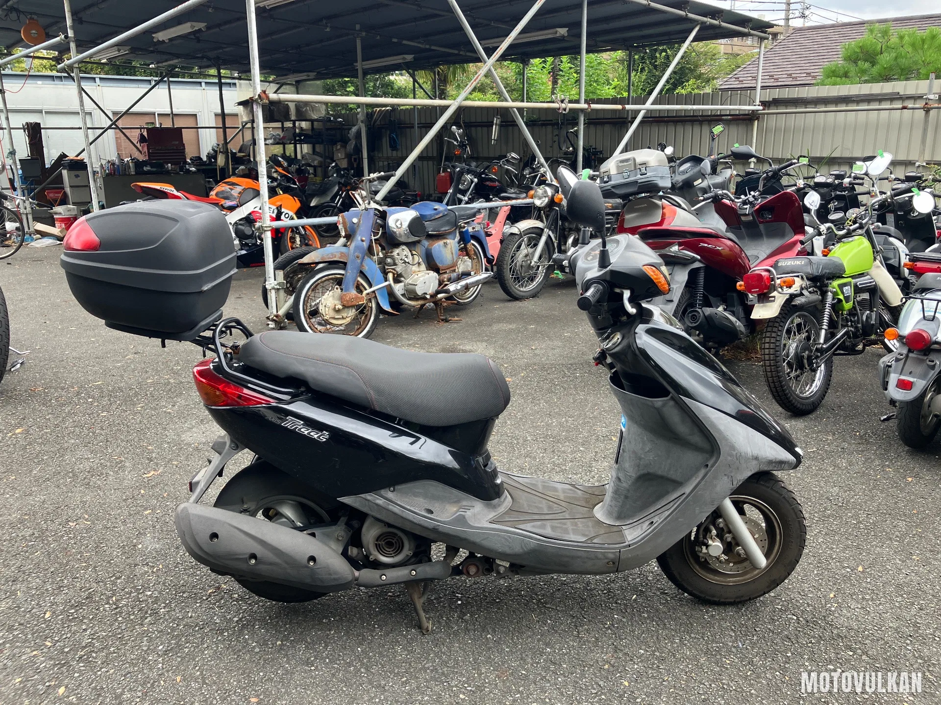 Yamaha Axis Treet