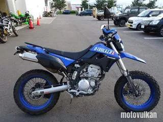 Kawasaki D-Tracker X