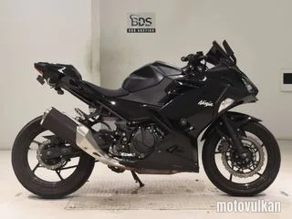 Kawasaki NINJA250-2