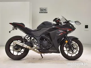 Yamaha YZF-R25