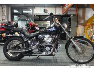 Harley Davidson Harley Davidson Fxstc