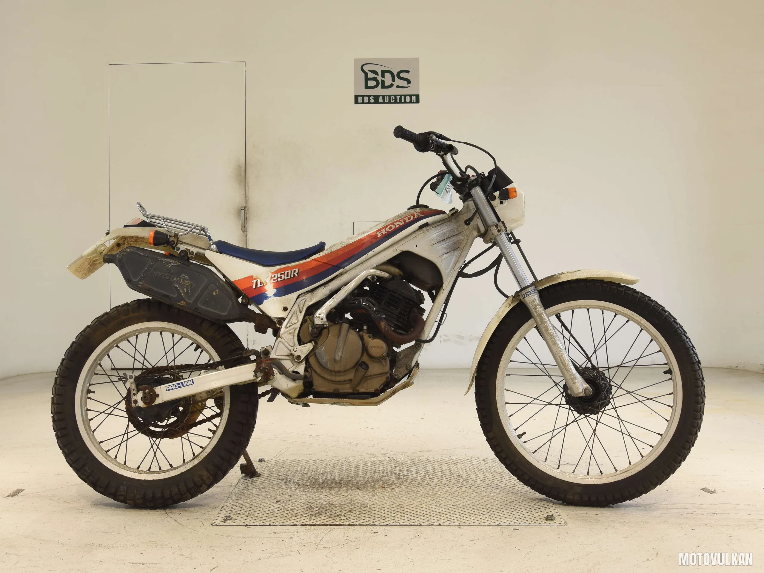 Honda TLR250R