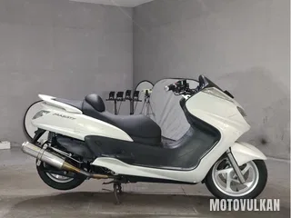 Yamaha Grand Majesty 250