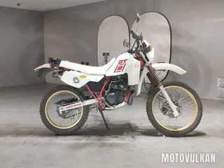 Yamaha DT200R