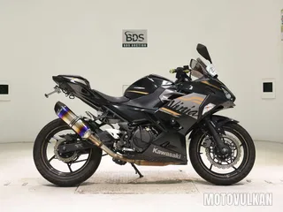 Kawasaki NINJA250-2