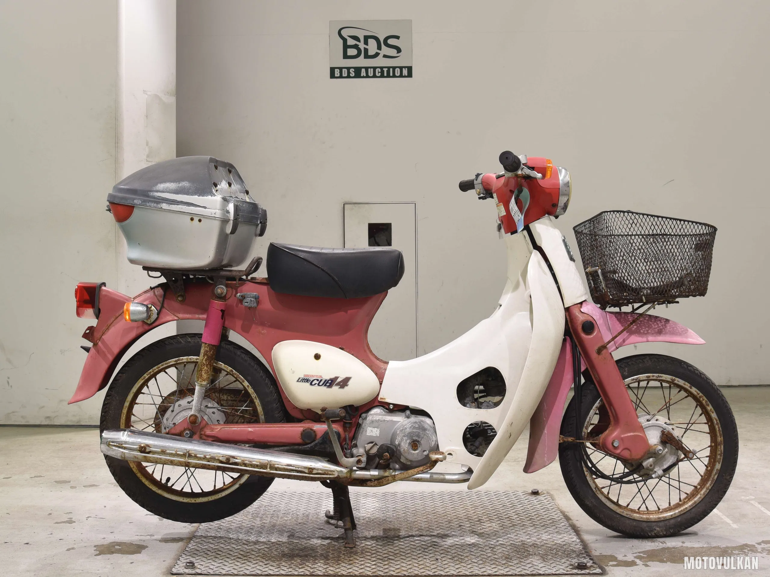 Honda LITTLECUB