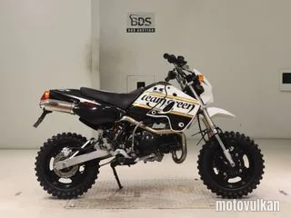 Kawasaki KSR110