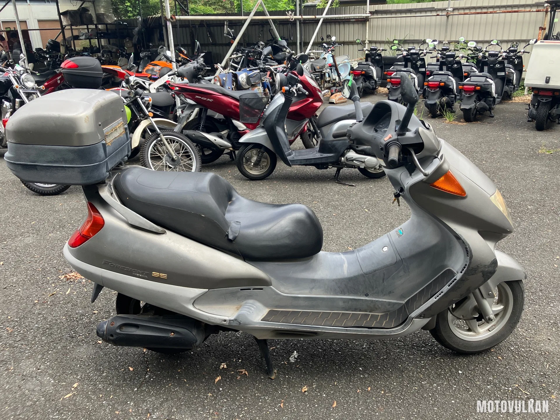 Honda Foresight Se
