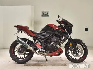 Yamaha MT-25