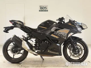 Kawasaki NINJA250-2