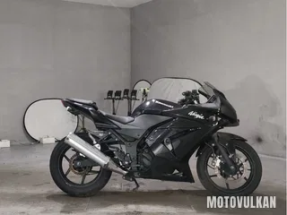 Kawasaki Ninja 250R