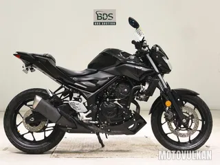 Yamaha MT-25