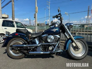 Harley Davidson Harley Davidson Flstf