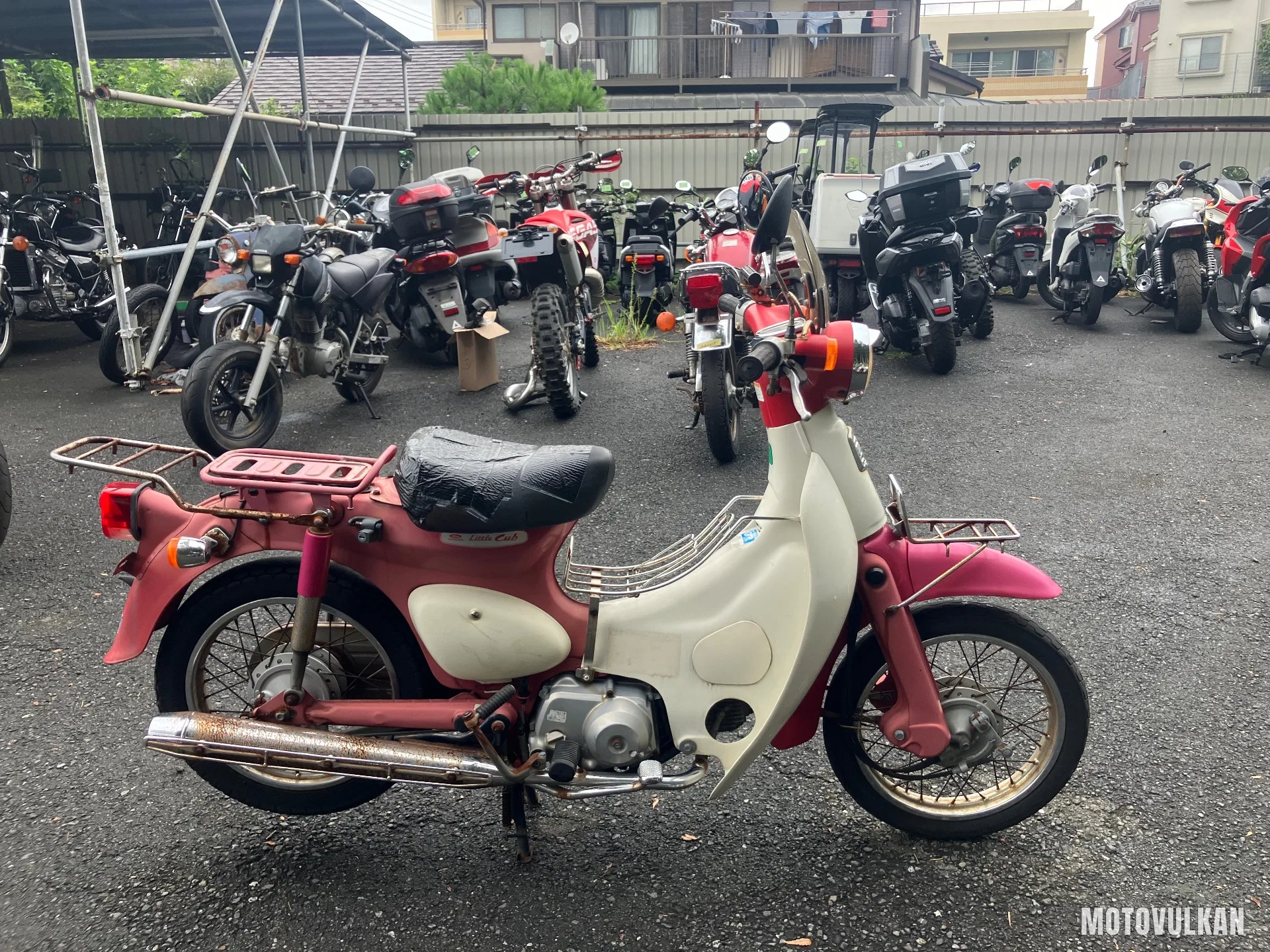Honda Little Cub