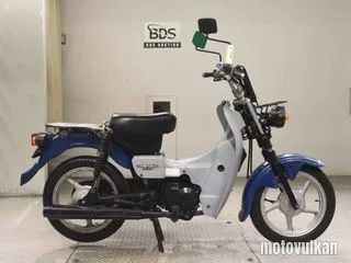 Suzuki BIRDIE90