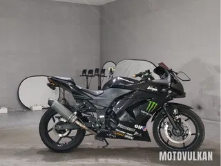 Kawasaki Ninja 250R