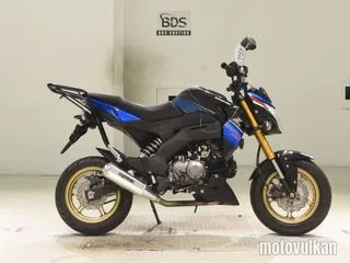 Kawasaki Z125PRO