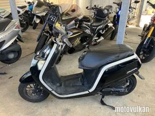 Honda Dunk