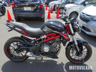 Other Non Japanese Benelli Tnt249S