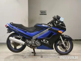 Kawasaki ZZ-R250