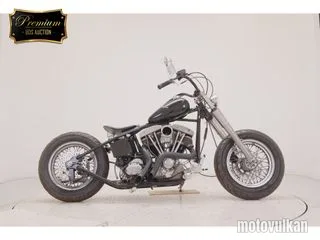  UNREGISTERED MODEL by BDS1340
