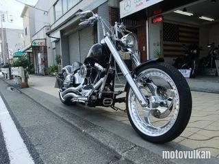 Harley Davidson Harley Davidson Flstf