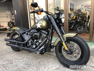 Harley Davidson Harley Davidson Flss