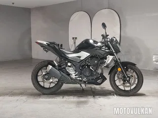 Yamaha MT-25
