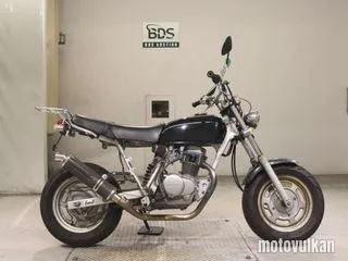 Honda APE100