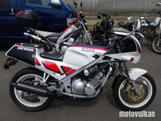 Yamaha Fzr250
