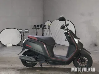 Honda Dunk