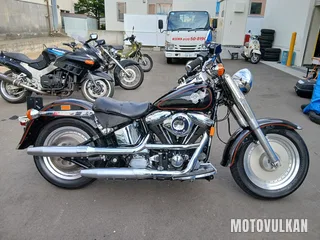 Harley Davidson Harley Davidson Flstf