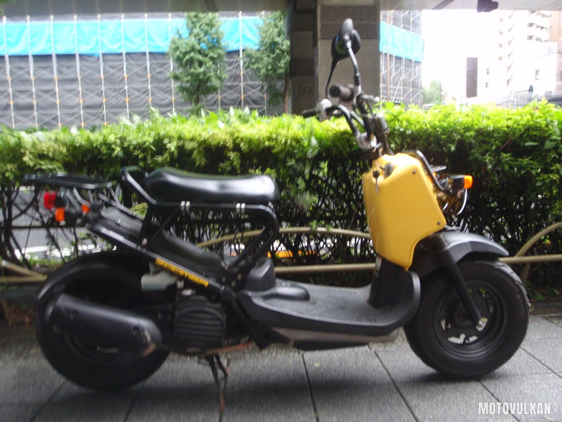 Honda Zoomer