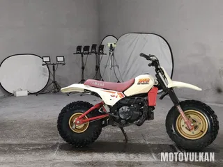 Yamaha BW80