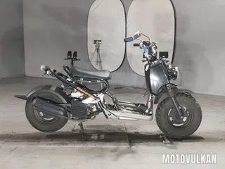 Honda Zoomer