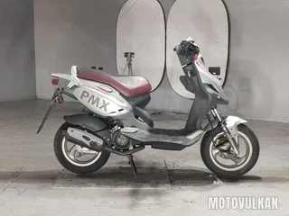  PGO PMX110