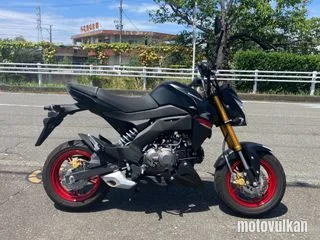 Kawasaki Z125 Pro